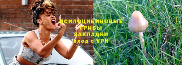 индика Валуйки