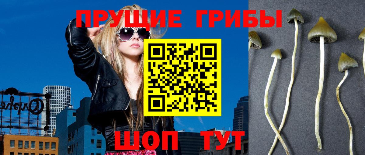 Псилоцибиновые грибы MAGIC MUSHROOMS Ирбит
