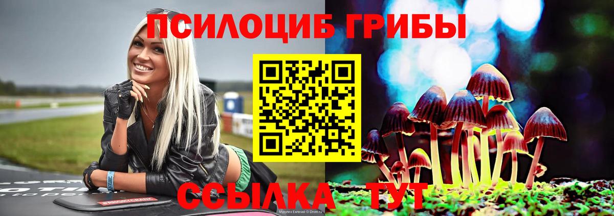 Псилоцибиновые грибы GOLDEN TEACHER  Вход с VPN  Псилоцибиновые грибы Magic Shrooms  Ирбит 